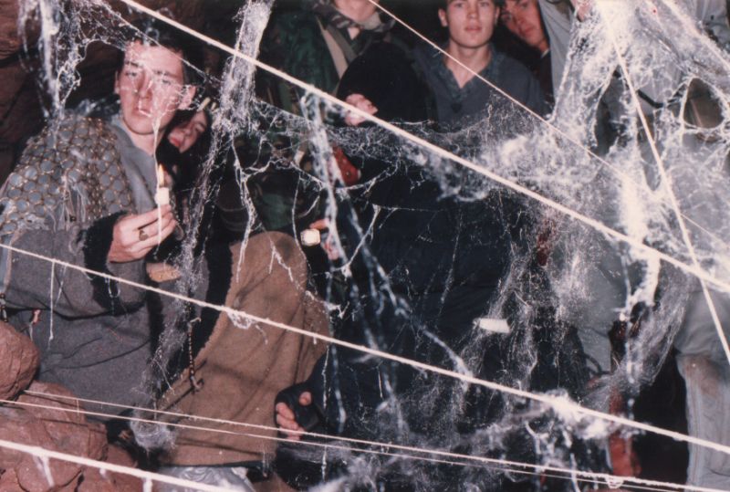 The web trap
