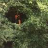 Someone in a cave - looks like an SFB/Heroquest costume?